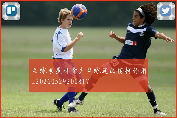足球明星对青少年球迷的榜样作用_20260529200817