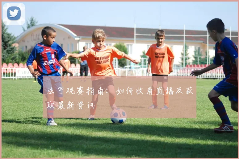 法甲观赛指南：如何收看直播及获取最新资讯
